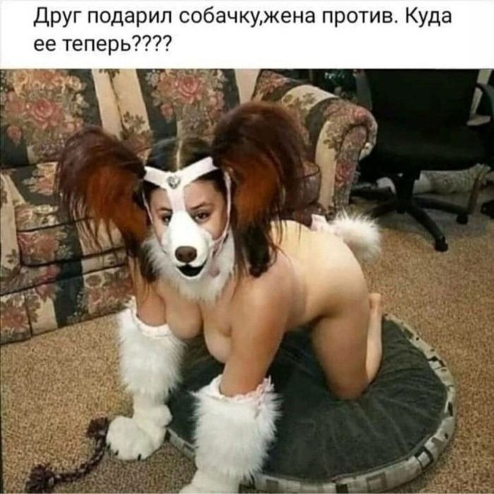 Прикольные мемы