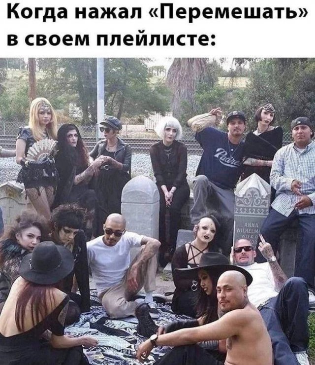 Мемы и юмор