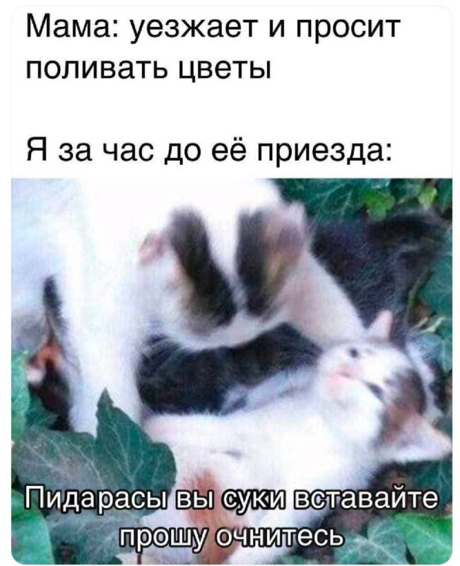 Прикольные мемы