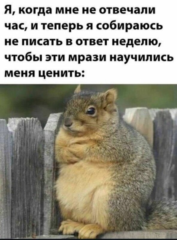 Прикольные мемы