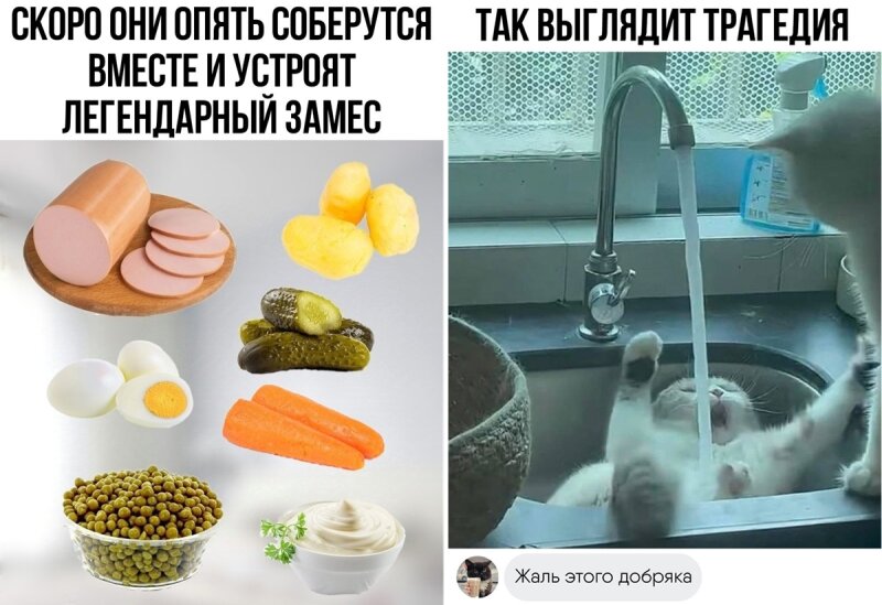 Прикольные мемы