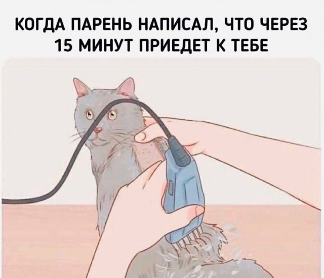 мемы и фотоприколы