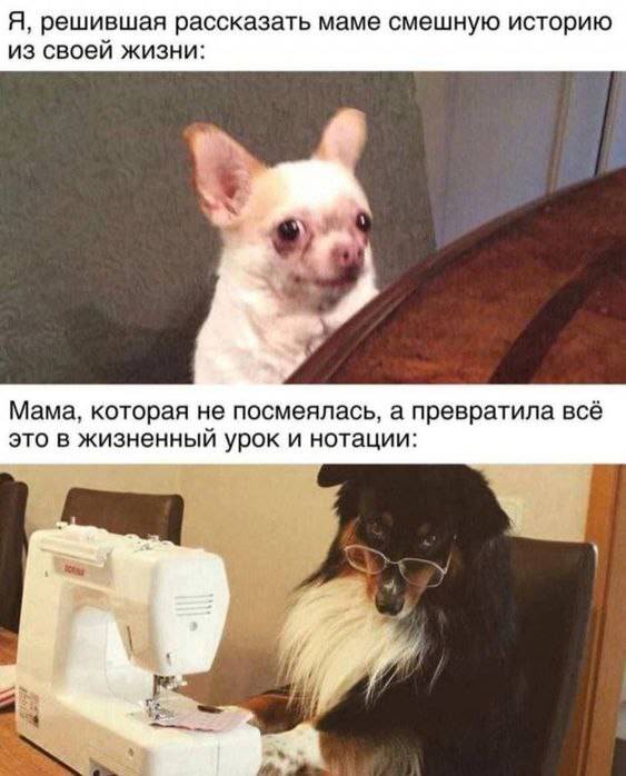 мемасы