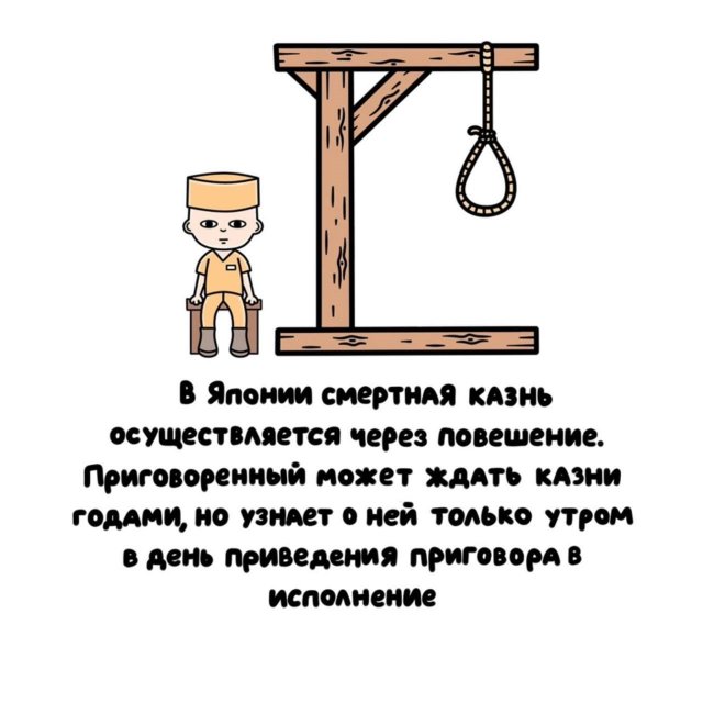 интересные факты