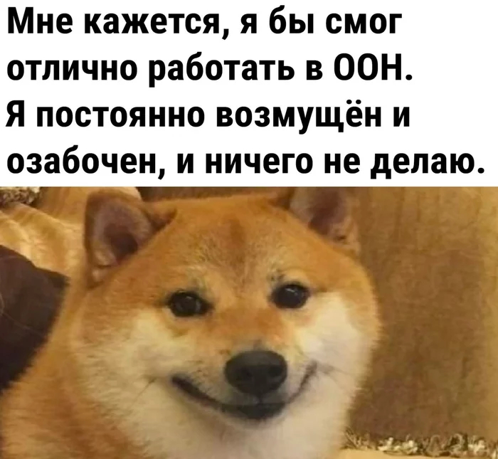 субботние мемы