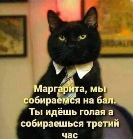 субботние мемы