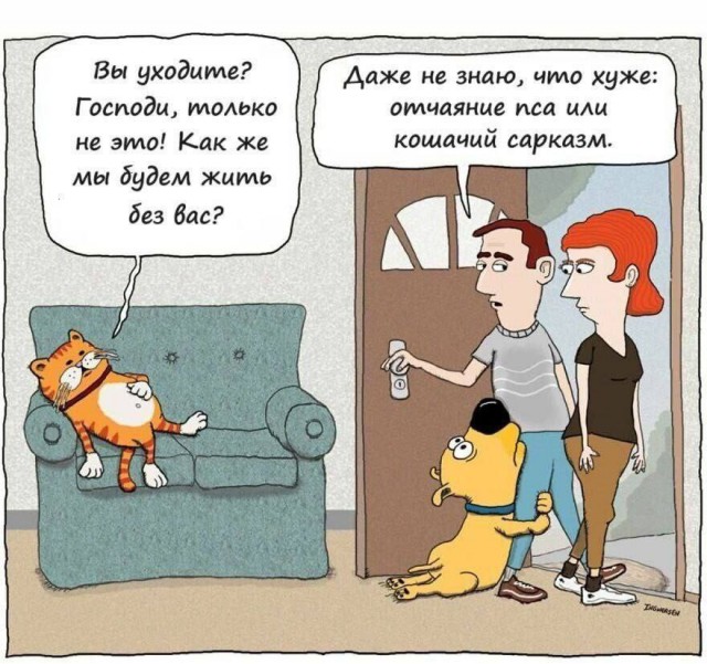 субботние мемы