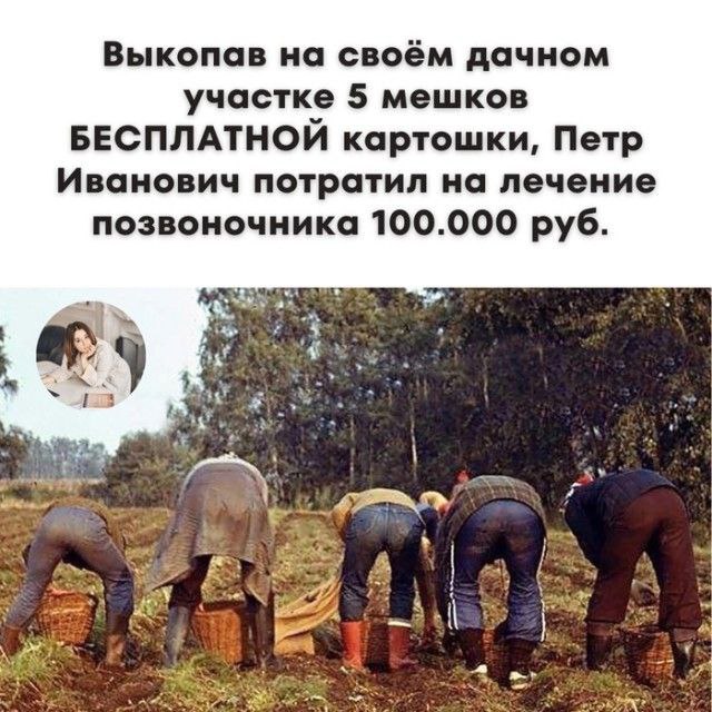 мемы понедельника