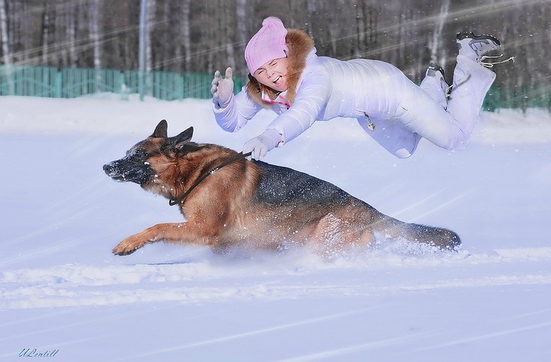 Девушки и животные