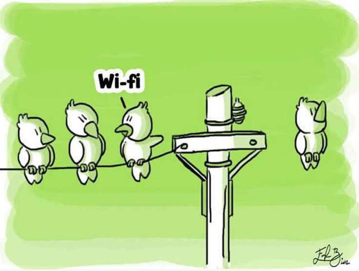 wi-fi