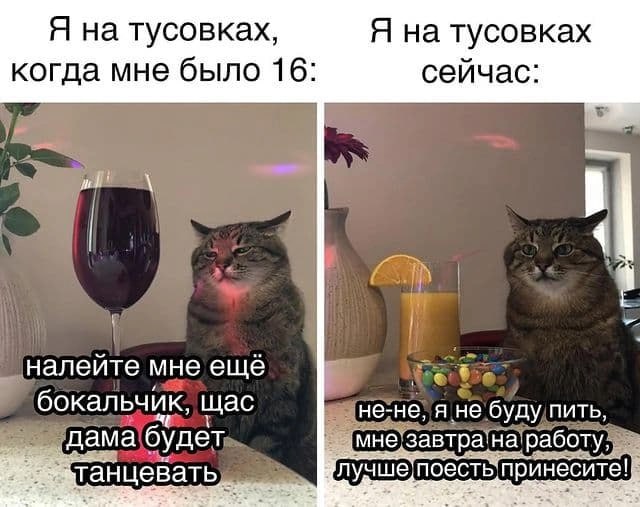 мемы и фотоприколы