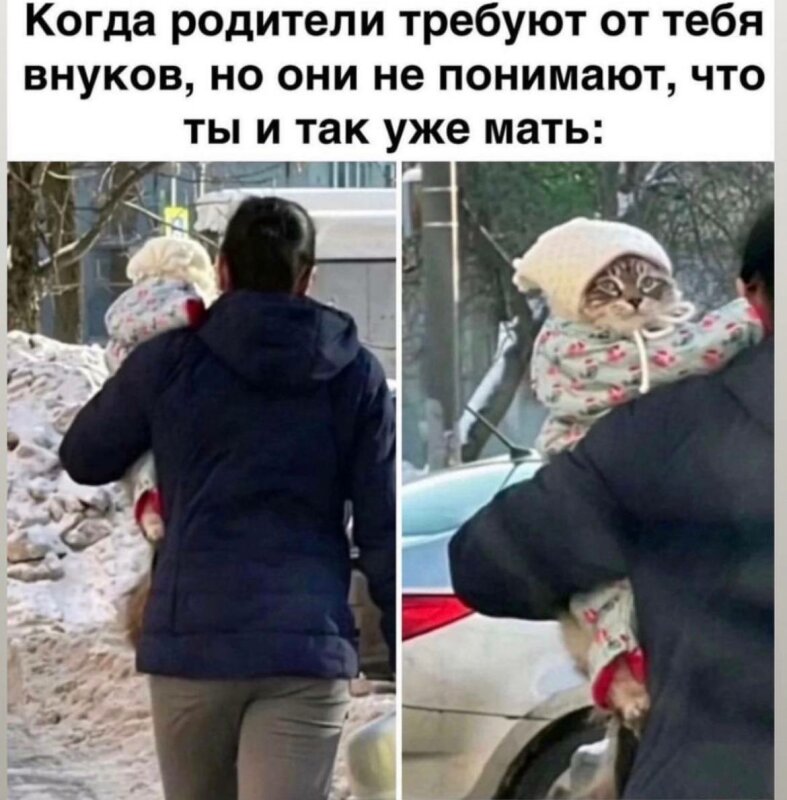 мемы и фотоприколы