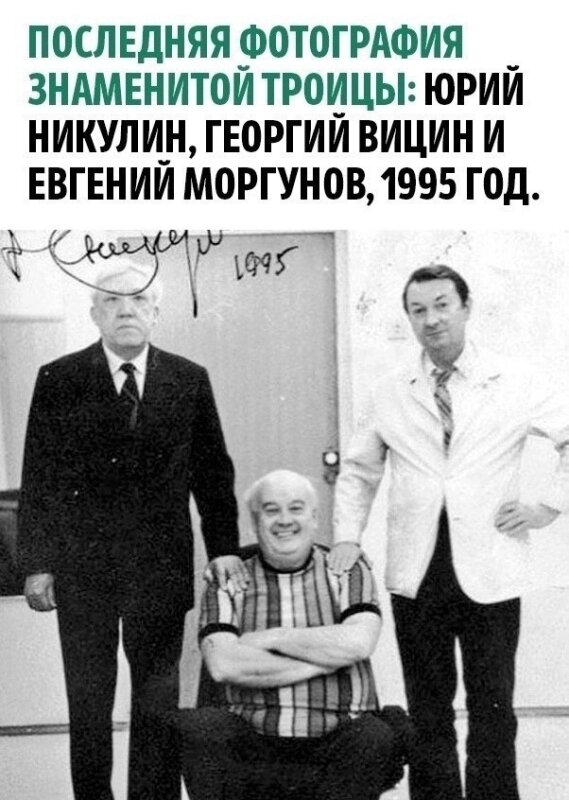 мемы и фотоприколы