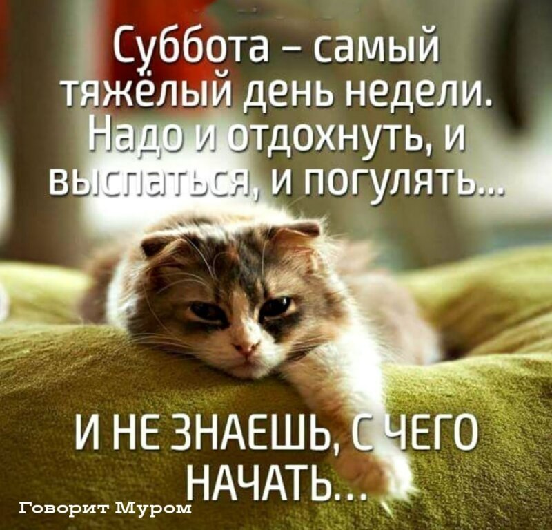 суббота