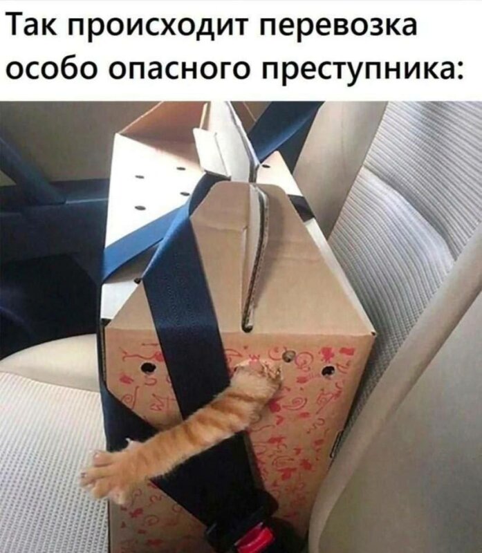 субботние мемы