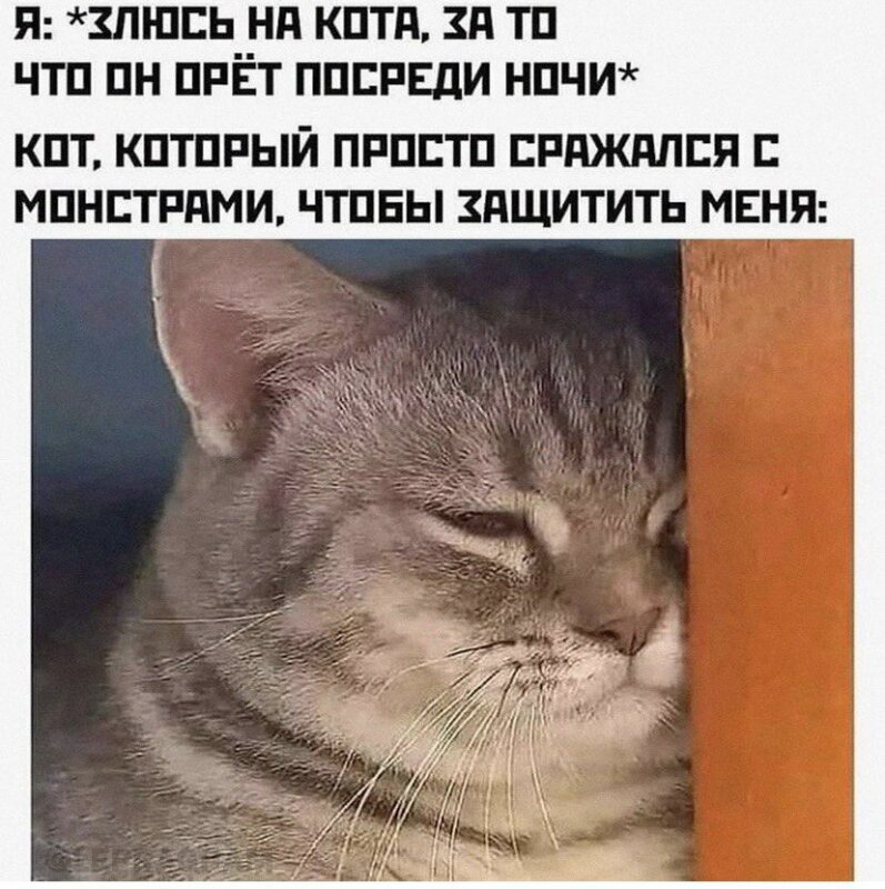 субботние мемы