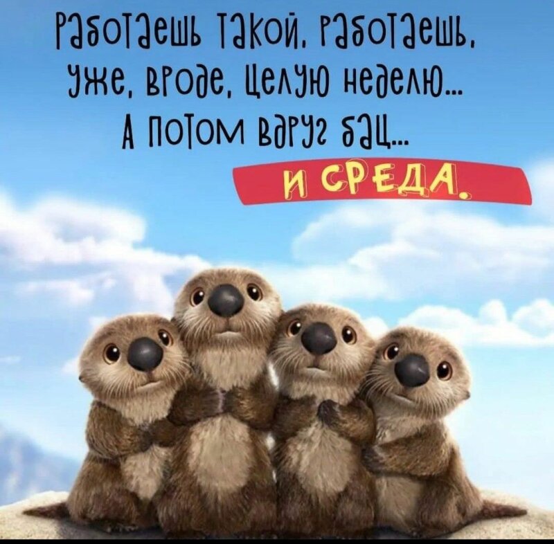 среда на дворе