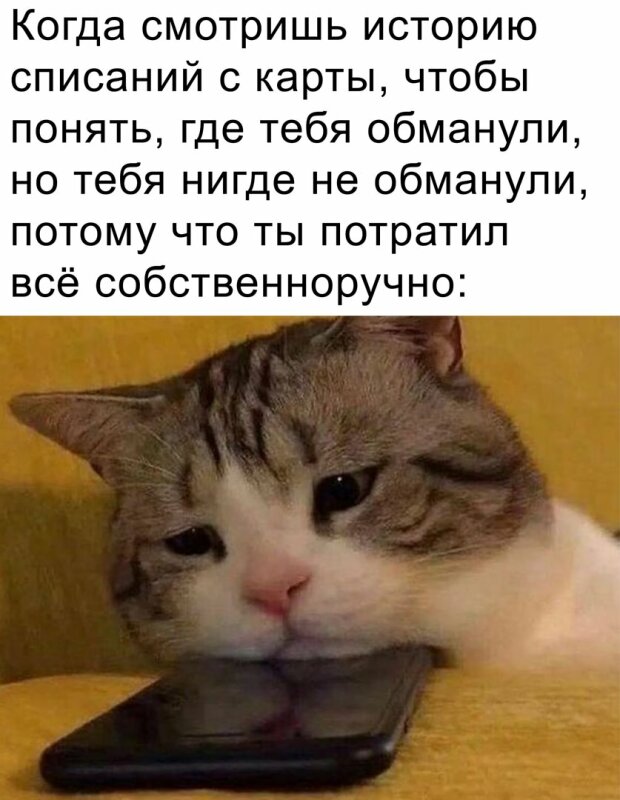 позитивный настрой на среду