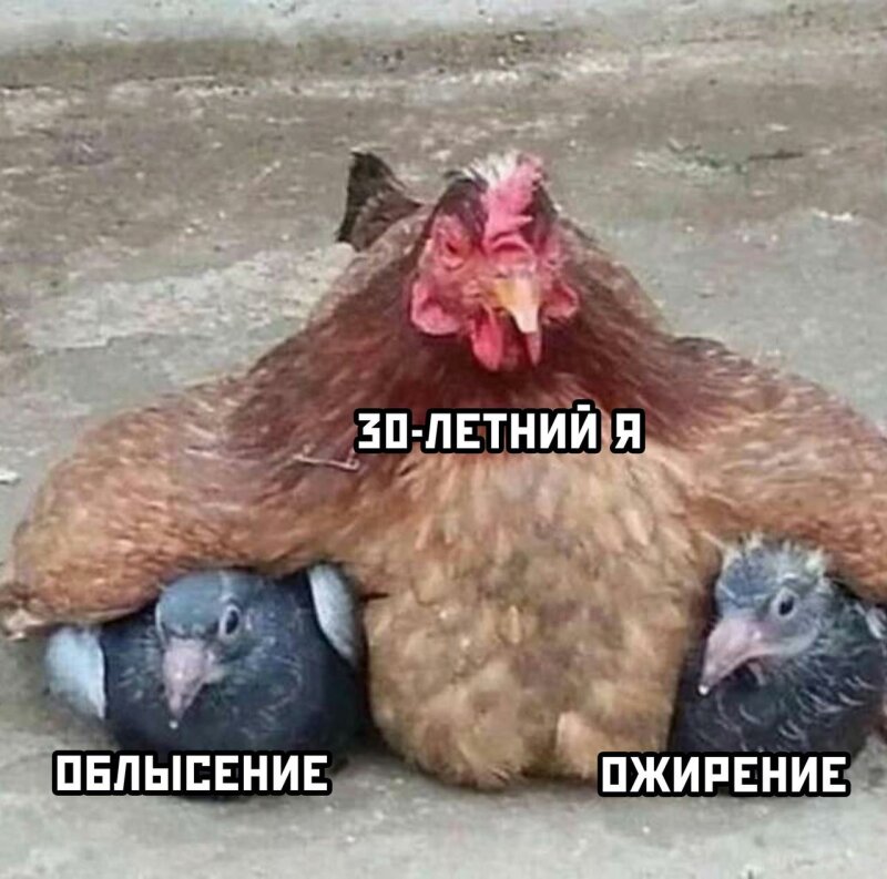 позитивный настрой на среду