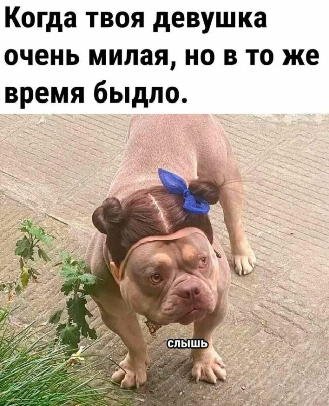 позитивный настрой на среду