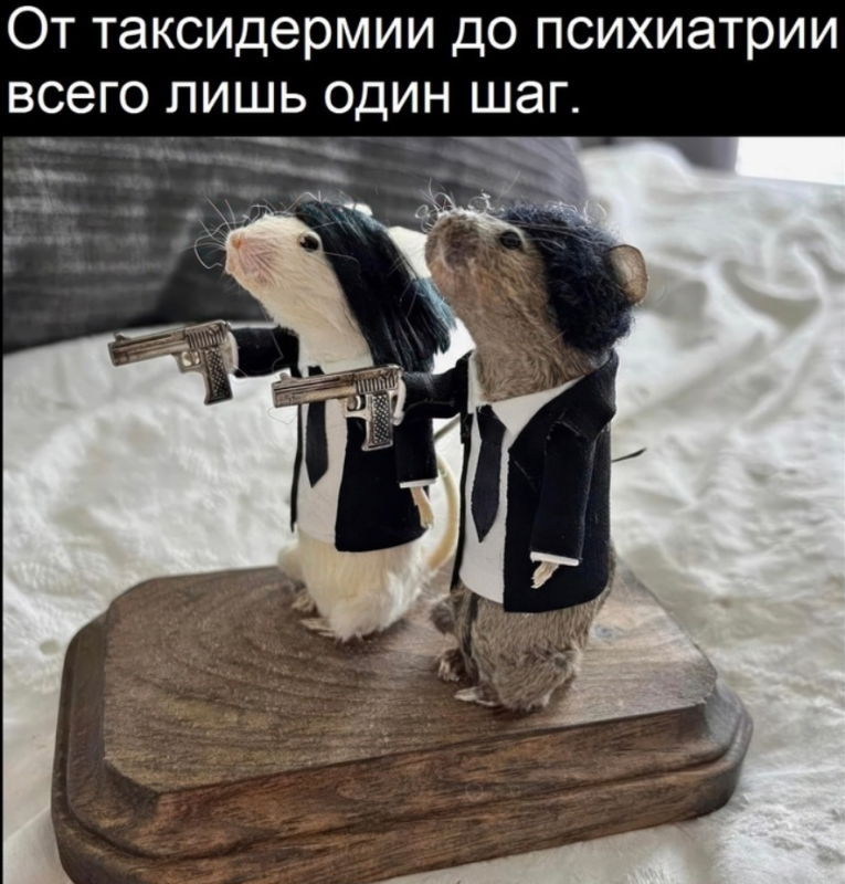 мемы понедельника