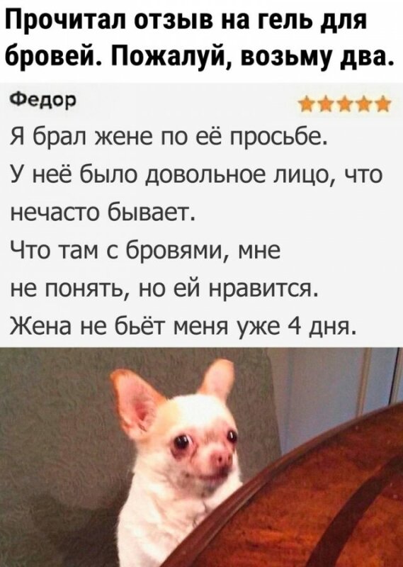 мемы понедельника