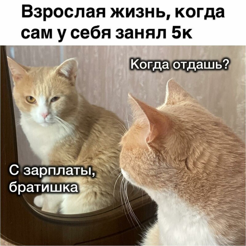 прикольный вторник