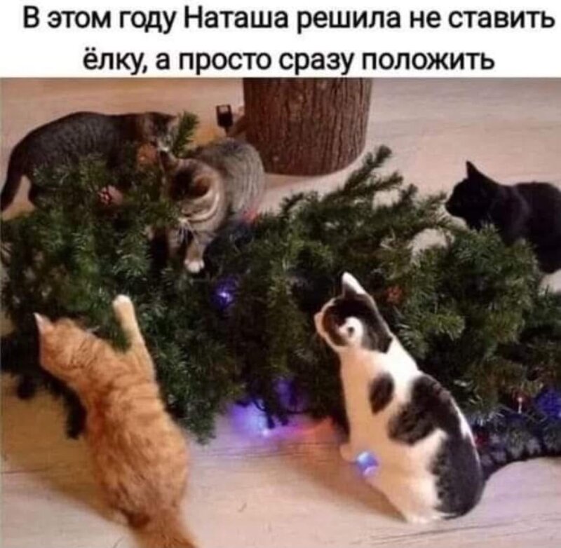 прикольный вторник