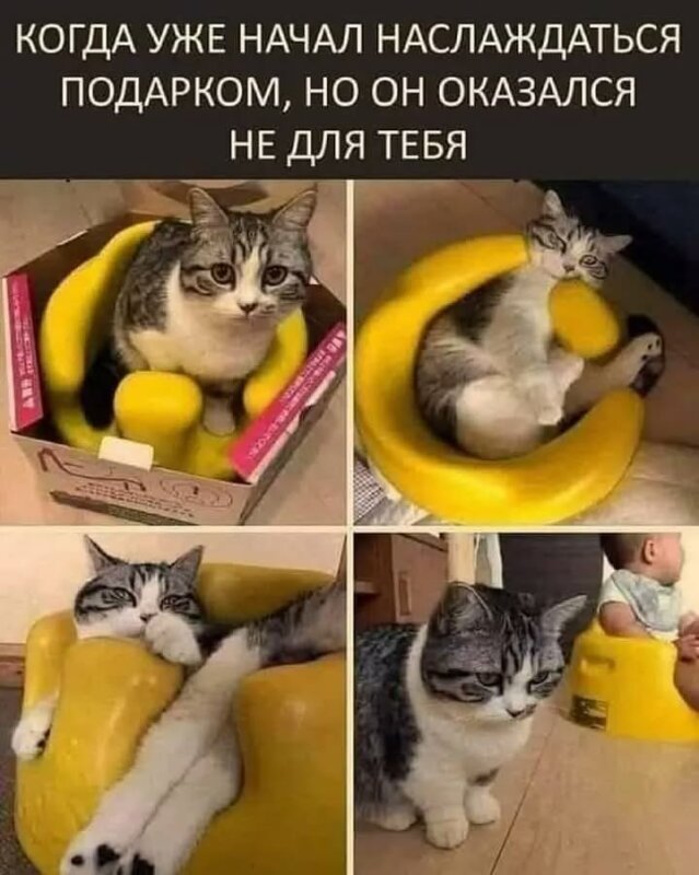 прикольный вторник