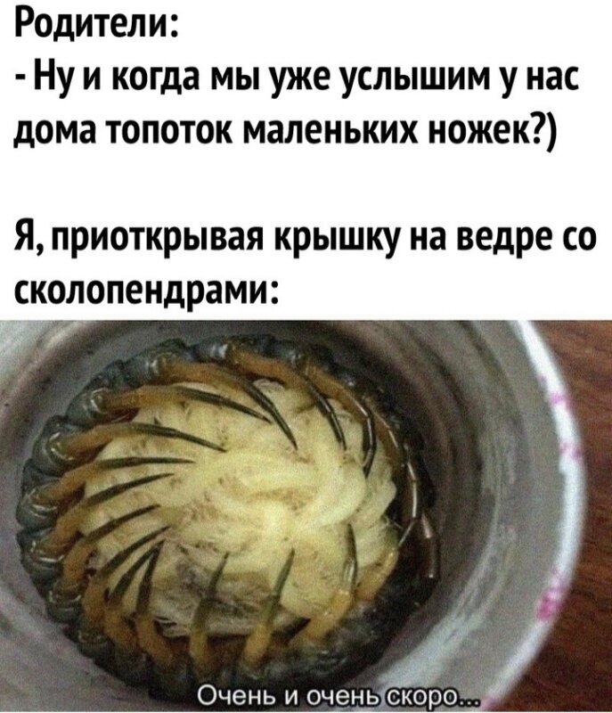 прикольный вторник