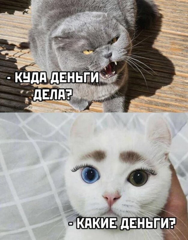 смех до слез