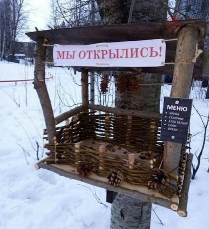 Свежие прикольные картинки